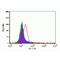 Polyclonal Rabbit anti-Human CXCR4 Antibody (IHC, IF, WB)