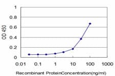 KCNE1 / MinK Antibody (clone 5B12)
