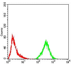ER Alpha / Estrogen Receptor Antibody (Tyr537, clone 3C6C6)