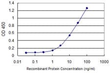 Monoclonal Mouse anti-Human EIF2S2 Antibody (clone 2F3, IHC, WB)