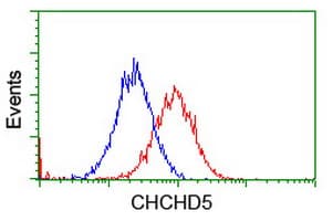CHCHD5 Antibody (clone OTI4F3)