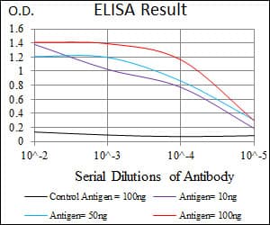NR6A1 / GCNF Antibody (clone 4G8)