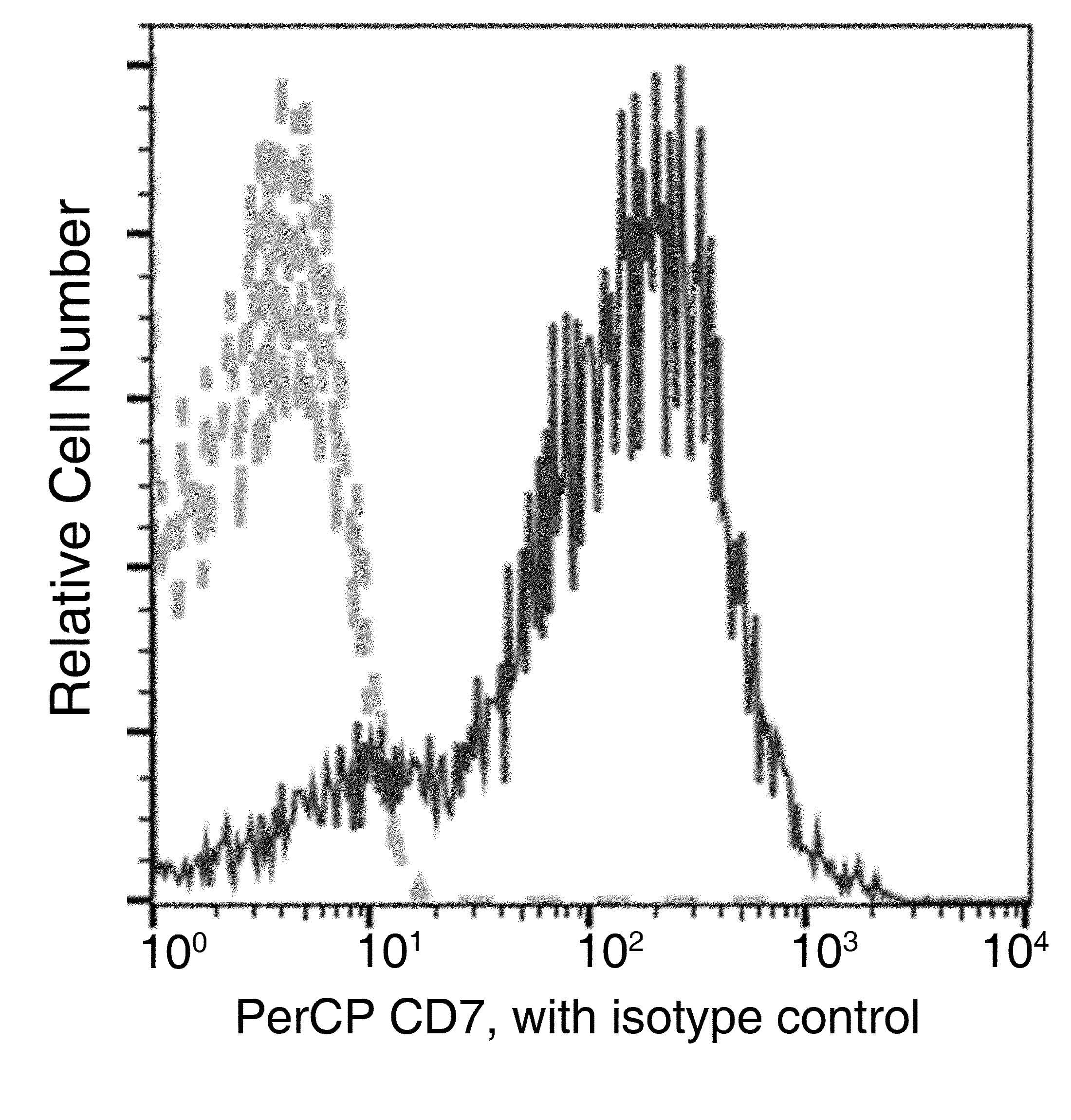 Monoclonal Mouse anti-Human CD7 Antibody (clone 20, PerCP)