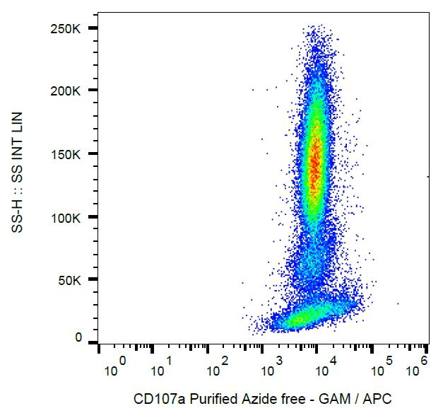 IHC-plus™ LAMP1 / CD107a Antibody (clone H4A3, Azide-free)