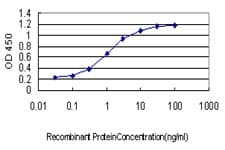 ID3 Antibody (clone 4G1)