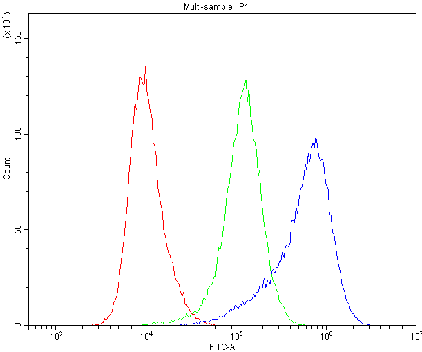 DNM1 / Dynamin Antibody