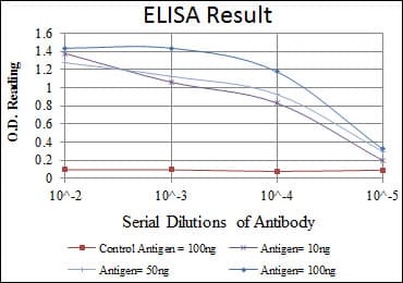 MAP2K6 / MEK6 / MKK6 Antibody (clone 3H12C8)