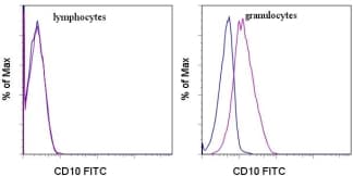MME / CD10 Antibody (clone CB-CALLA, FITC)