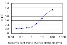 IHC-plus™ FOXO3 / FOXO3A Antibody (clone 4E8)