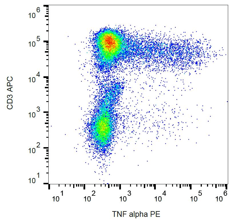 TNF Alpha Antibody (clone MAb11, PE)