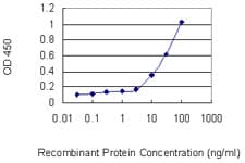 KCNJ15 / KIR4.2 Antibody (clone 1B2)