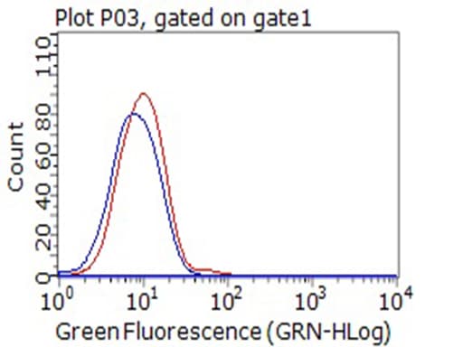 Monoclonal Mouse anti-Human CD80 Antibody (clone OTI1G9, WB)