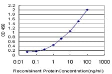 IHC-plus™ FAM50A Antibody (clone 5F10)