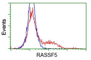 RASSF5 / RAPL Antibody (clone OTI1A11, Carrier-free)