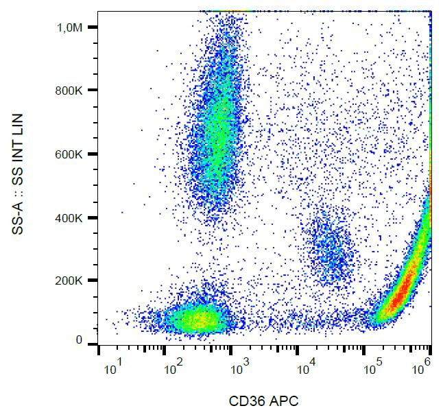 Monoclonal Mouse anti-Human CD36 Antibody (clone CB38 (NL07), APC)