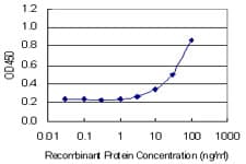 Angiogenin / ANG Antibody (clone 2A7)