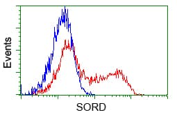 Monoclonal Mouse anti-Human SORD / Sorbitol Dehydrogenase Antibody (clone OTI9E7, IHC, IF, WB)