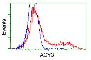 ACY3 Antibody (clone OTI2F1)