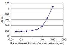 HLA-DPA1 Antibody (clone 1E3)