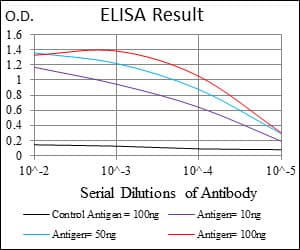 IHC-plus™ Monoclonal Mouse anti-Human MSH6 Antibody (clone 5B11, aa217-395, IHC, WB)