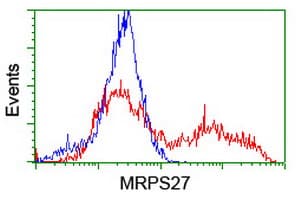 MRPS27 Antibody (clone OTI3D9)