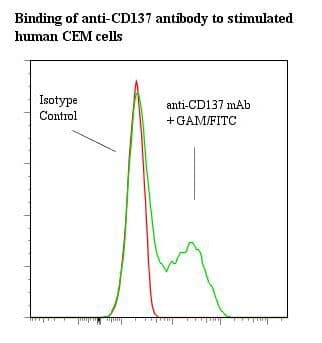 TNFRSF9 / 4-1BB / CD137 Antibody (clone 4B4-1)