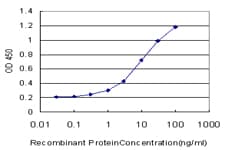GDF2 / BMP9 Antibody (clone 4D2)