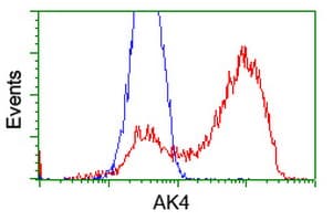 AK4 / Adenylate Kinase 4 Antibody (clone OTI3E1)
