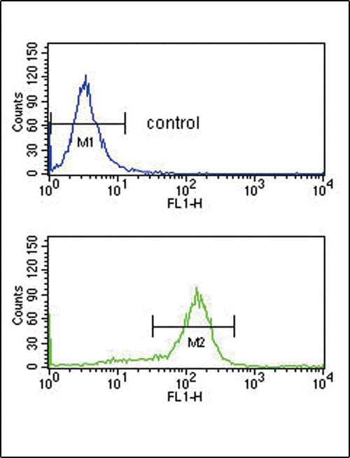 DDX39B / UAP56 Antibody (aa351-380)