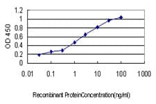 PDE2A Antibody (clone 4F4)