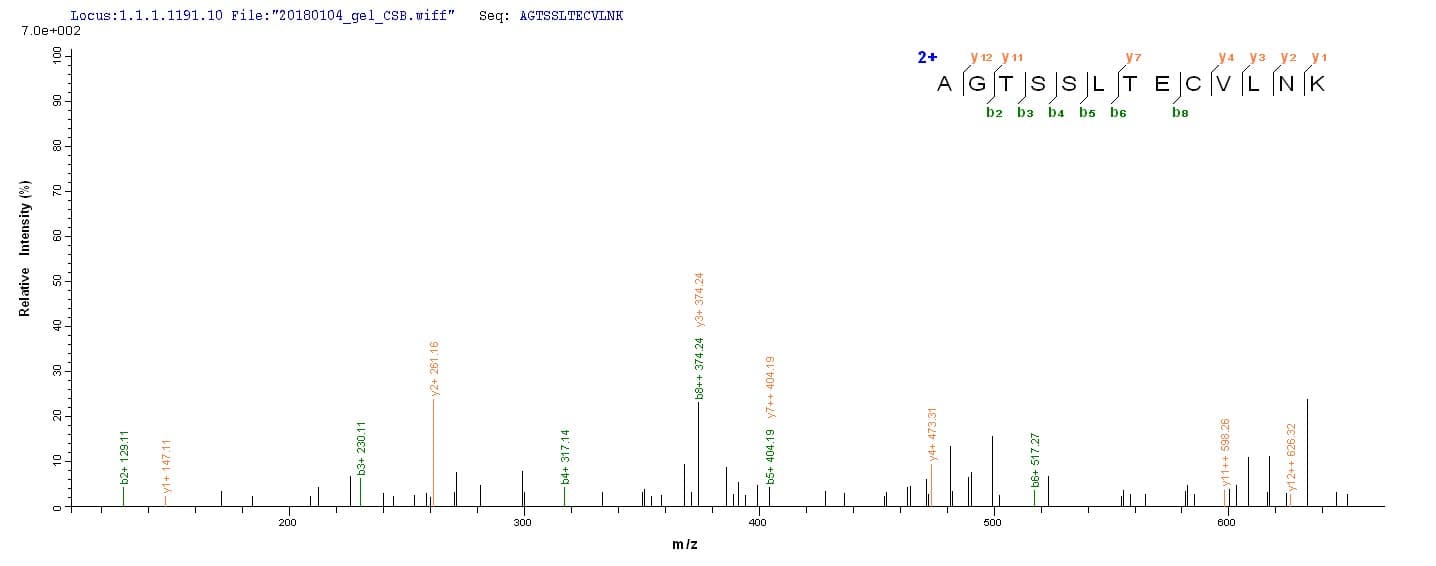 Human IL15RA Protein (Recombinant 10His, N-terminus + Myc, C-terminus)