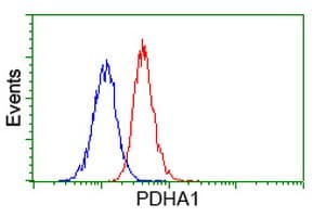 PDHA1 / PDH E1 Alpha Antibody (clone OTI2C10)