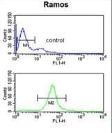B3GALT6 Antibody (aa241-269)