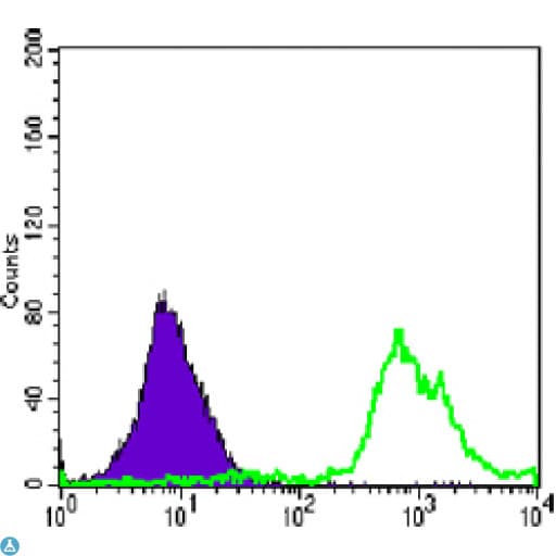 CD247 / CD3 Zeta Antibody