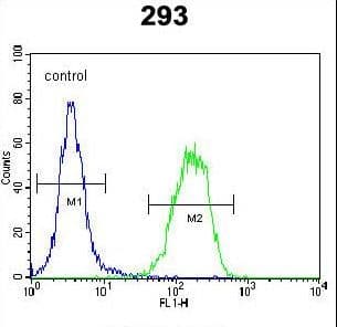 PCOTH Antibody (aa14-42)