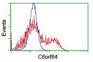 Monoclonal Mouse anti-Human C6orf64 Antibody (clone OTI2H3, IF, WB)