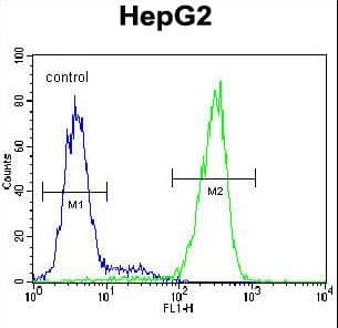 NUDT15 Antibody (aa89-118)