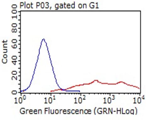 LAMP1 / CD107a Antibody (aa29-382, clone OTI1C5)