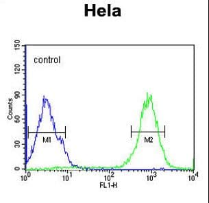 SPATA13 Antibody (aa204-232)