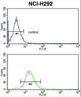 PDIA3 / ERp57 Antibody (aa446-475)