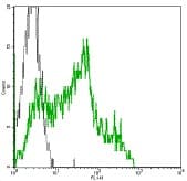 Monoclonal Mouse anti-Human CD38 Antibody (clone HIT2, FITC)