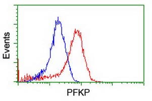 PFKP Antibody (clone OTI1A11)