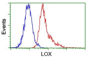 IHC-plus™ LOX / Lysyl Oxidase Antibody (clone 9A11)