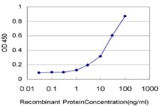 Monoclonal Mouse anti-Human SDF1 / CXCL12 Antibody (clone 1E5)