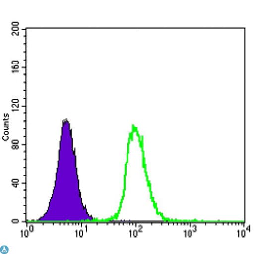 GSTP1 / GST Pi Antibody