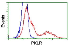 PKLR Antibody (clone OTI1B4)