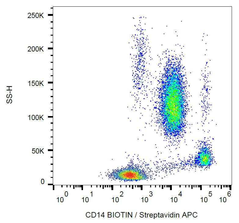 Monoclonal Mouse anti-Human CD14 Antibody (clone MEM-18, Biotin, aa57-64, WB)
