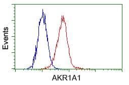 Monoclonal Mouse anti-Human AKR1A1 Antibody (clone OTI8H2, IHC, WB)