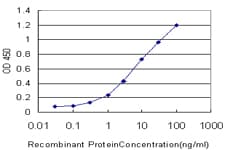 Monoclonal Mouse anti-Human KLK6 / Kallikrein 6 Antibody (clone 4A10, WB)