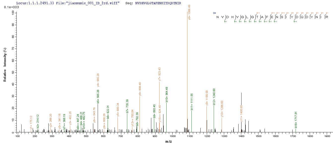 Porcine Circovirus 2 Cap Protein (Recombinant 10His-SUMO, N-terminus + Myc, C-terminus)